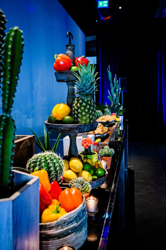 Long taco bar decorated with cacti.